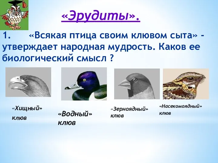 «Эрудиты». 1. «Всякая птица своим клювом сыта» - утверждает народная мудрость. Каков