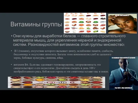 Витамины группы В Они нужны для выработки белков — главного строительного материала