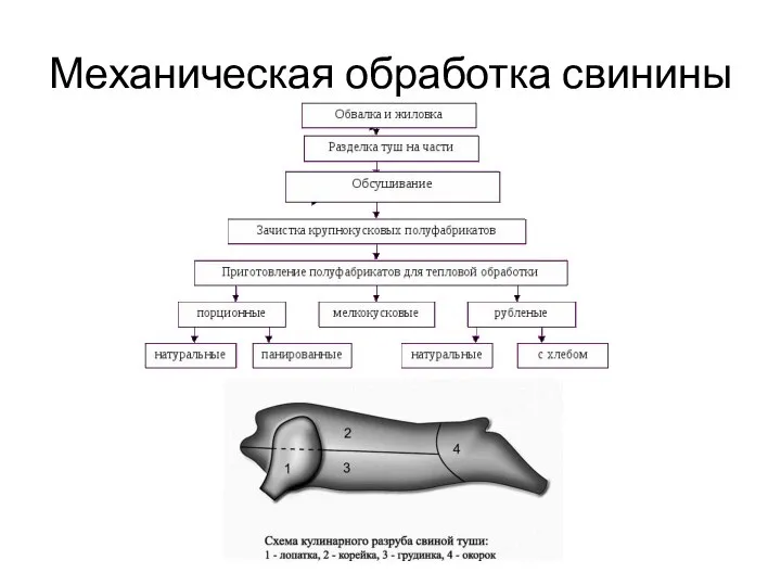 Механическая обработка свинины