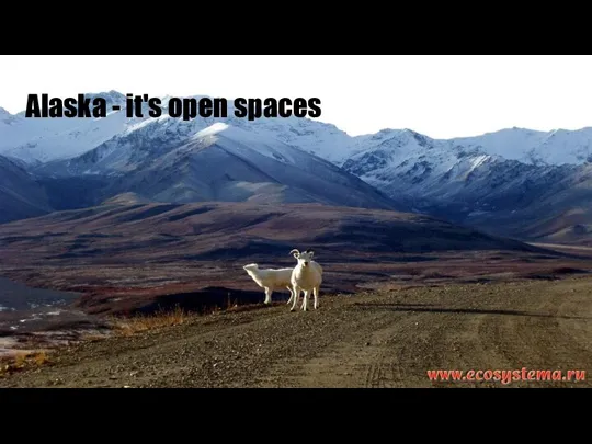 Alaska - it's open spaces