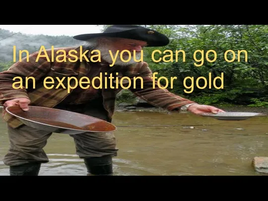In Alaska you can go on an expedition for gold
