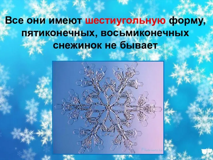 Все они имеют шестиугольную форму, пятиконечных, восьмиконечных снежинок не бывает