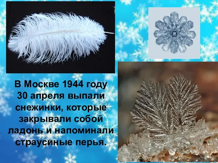В Москве 1944 году 30 апреля выпали снежинки, которые закрывали собой ладонь и напоминали страусиные перья.