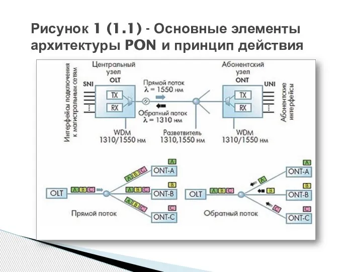 Рисунок 1 (1.1) - Основные элементы архитектуры PON и принцип действия