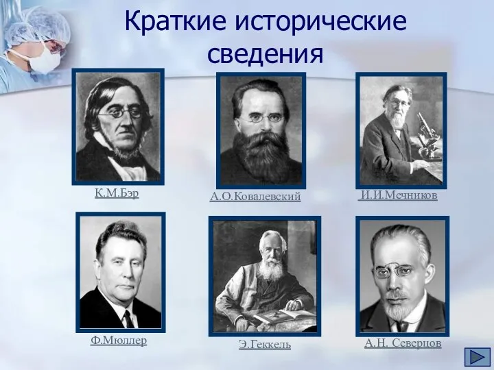 Краткие исторические сведения К.М.Бэр А.О.Ковалевский И.И.Мечников Ф.Мюллер Э.Геккель А.Н. Северцов