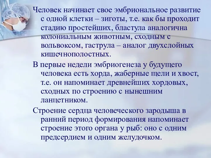 Человек начинает свое эмбриональное развитие с одной клетки – зиготы, т.е. как