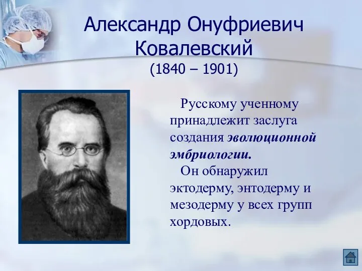 Александр Онуфриевич Ковалевский (1840 – 1901) Русскому ученному принадлежит заслуга создания эволюционной