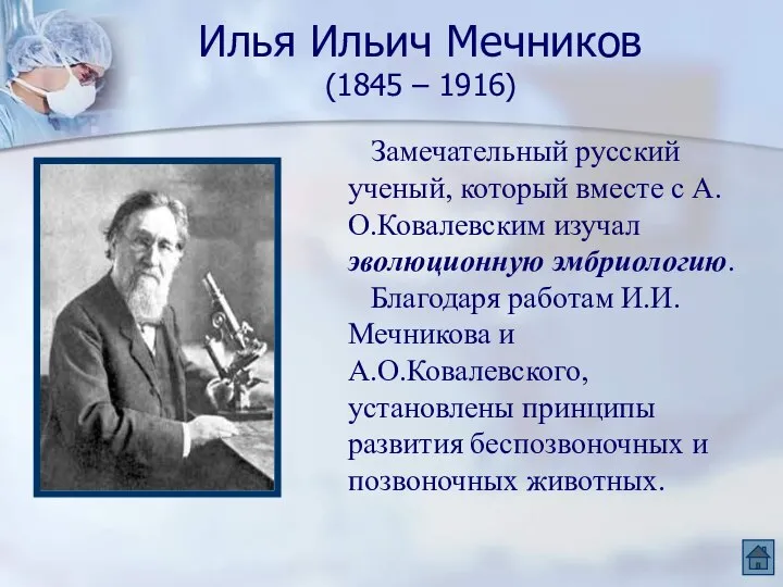 Илья Ильич Мечников (1845 – 1916) Замечательный русский ученый, который вместе с
