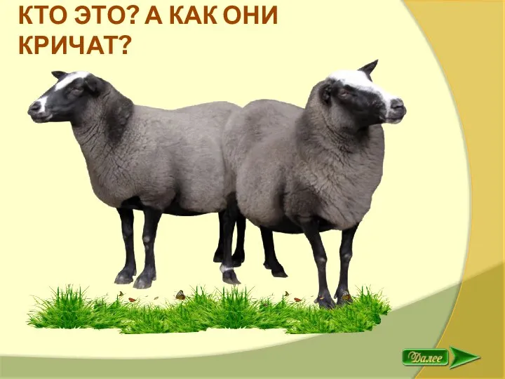 ОВЦЫ КТО ЭТО? А КАК ОНИ КРИЧАТ?