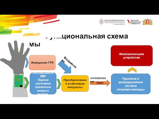 Функциональная схема системы Фиксирование ЭМГ Оценка состояния скелетных мышц и нервов. Измерение