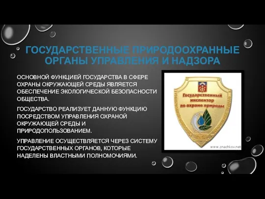 ГОСУДАРСТВЕННЫЕ ПРИРОДООХРАННЫЕ ОРГАНЫ УПРАВЛЕНИЯ И НАДЗОРА ОСНОВНОЙ ФУНКЦИЕЙ ГОСУДАРСТВА В СФЕРЕ ОХРАНЫ