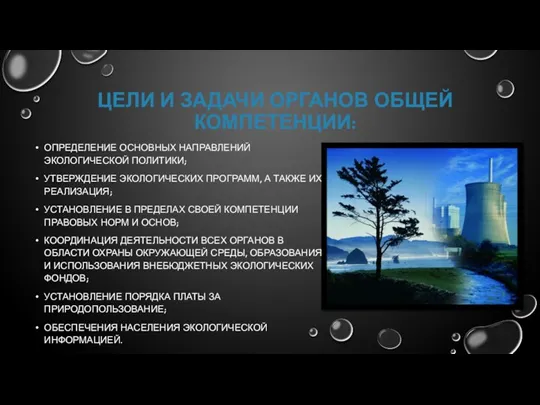 ЦЕЛИ И ЗАДАЧИ ОРГАНОВ ОБЩЕЙ КОМПЕТЕНЦИИ: ОПРЕДЕЛЕНИЕ ОСНОВНЫХ НАПРАВЛЕНИЙ ЭКОЛОГИЧЕСКОЙ ПОЛИТИКИ; УТВЕРЖДЕНИЕ