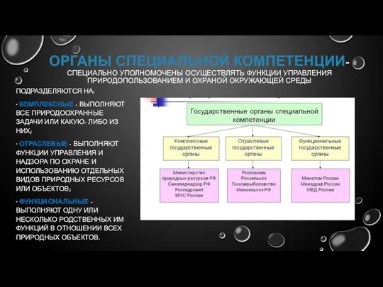 ОРГАНЫ СПЕЦИАЛЬНОЙ КОМПЕТЕНЦИИ- СПЕЦИАЛЬНО УПОЛНОМОЧЕНЫ ОСУЩЕСТВЛЯТЬ ФУНКЦИИ УПРАВЛЕНИЯ ПРИРОДОПОЛЬЗОВАНИЕМ И ОХРАНОЙ ОКРУЖАЮЩЕЙ