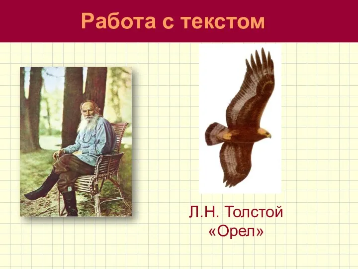 Работа с текстом Л.Н. Толстой «Орел»