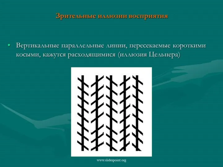 1) Психические процессы (ощущение, восприятие, внимание, память, мышление, воображение, речь, представления; интроспекция,