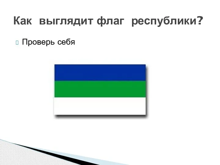 Проверь себя Как выглядит флаг республики?