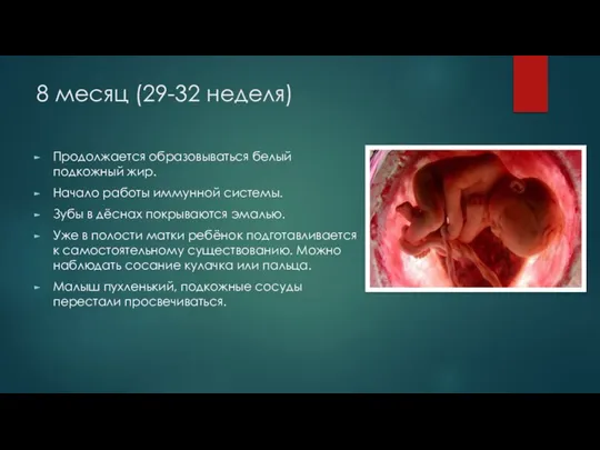 8 месяц (29-32 неделя) Продолжается образовываться белый подкожный жир. Начало работы иммунной