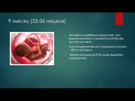 9 месяц (33-36 неделя) Активность ребёнка возрастает, его водная комната становится всё