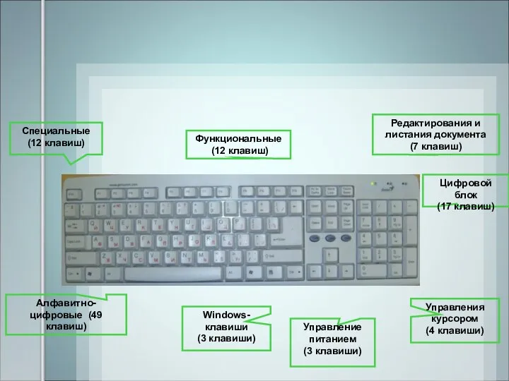 Функциональные (12 клавиш) Windows-клавиши (3 клавиши) Управления курсором (4 клавиши) Алфавитно-цифровые (49