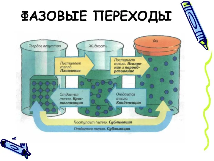 ФАЗОВЫЕ ПЕРЕХОДЫ