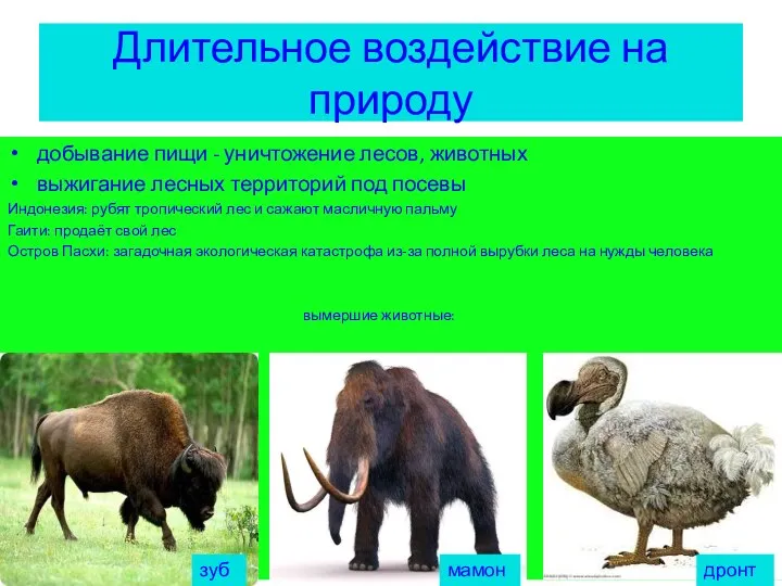 Длительное воздействие на природу добывание пищи - уничтожение лесов, животных выжигание лесных