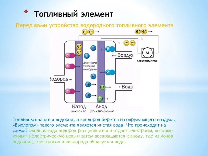 Перед вами устройство водородного топливного элемента Топливный элемент Топливом является водород, а