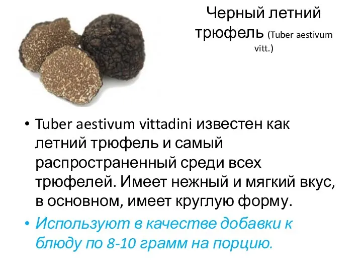 Черный летний трюфель (Tuber aestivum vitt.) Tuber aestivum vittadini известен как летний