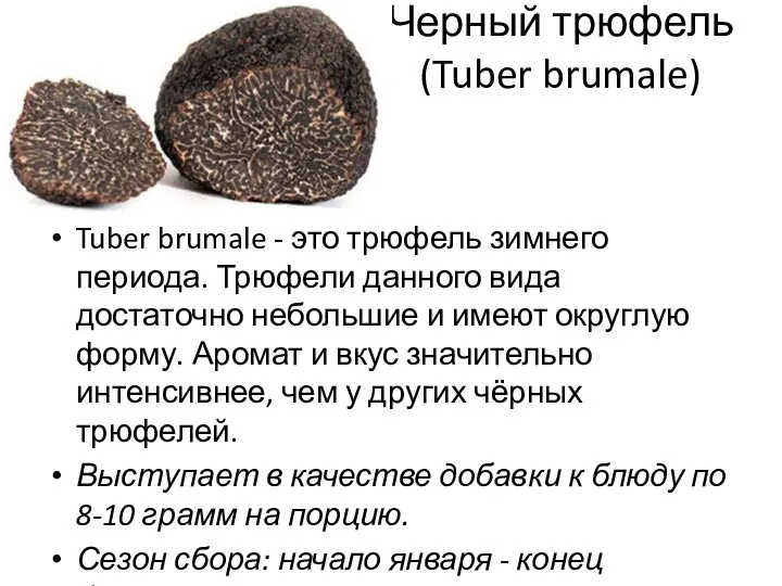 Черный трюфель (Tuber brumale) Tuber brumale - это трюфель зимнего периода. Трюфели