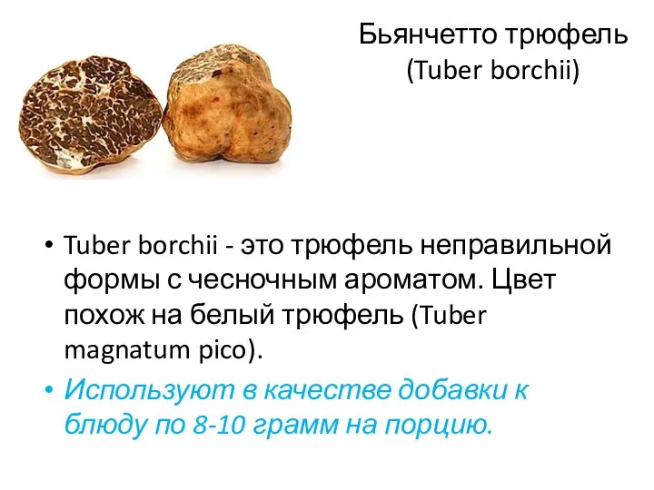 Бьянчетто трюфель (Tuber borchii) Tuber borchii - это трюфель неправильной формы с