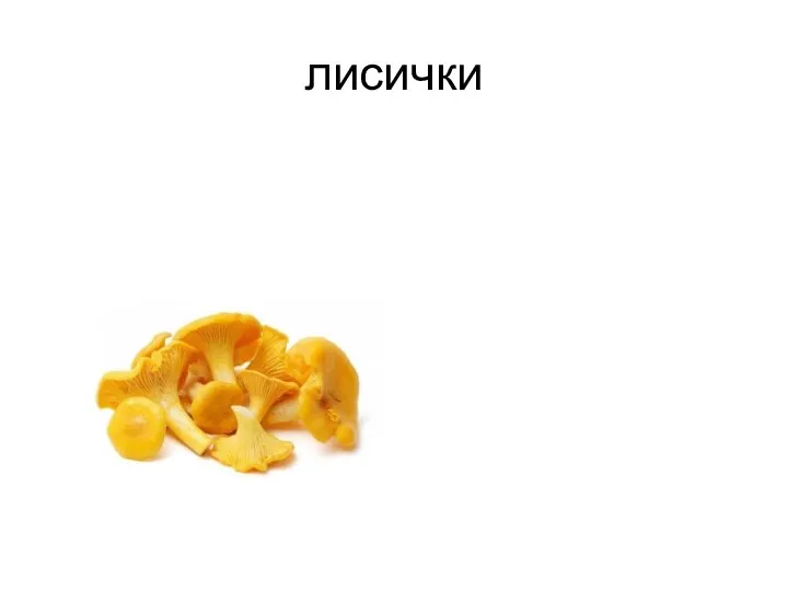 лисички