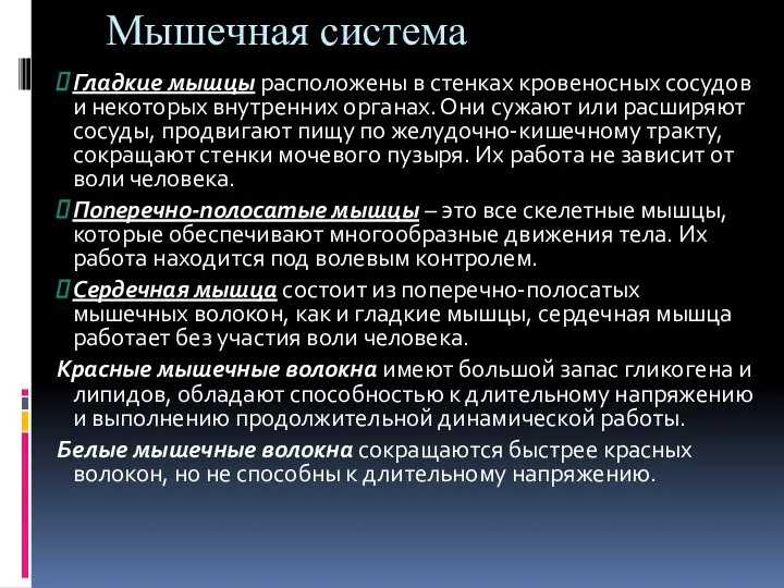 Мышечная система Гладкие мышцы расположены в стенках кровеносных сосудов и некоторых внутренних