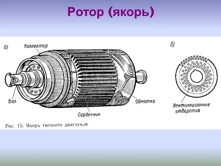 Ротор (якорь)