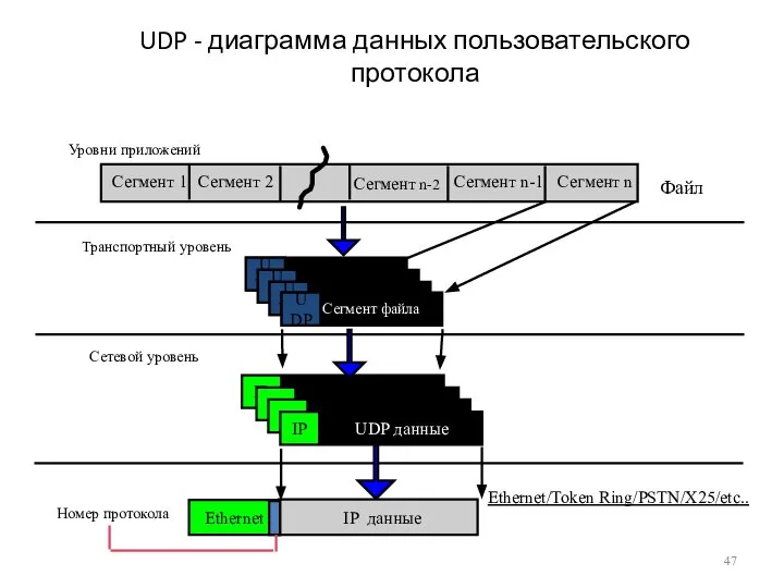 UDP - диаграмма данных пользовательского протокола Уровни приложений Ethernet/Token Ring/PSTN/X25/etc.. UDP Data