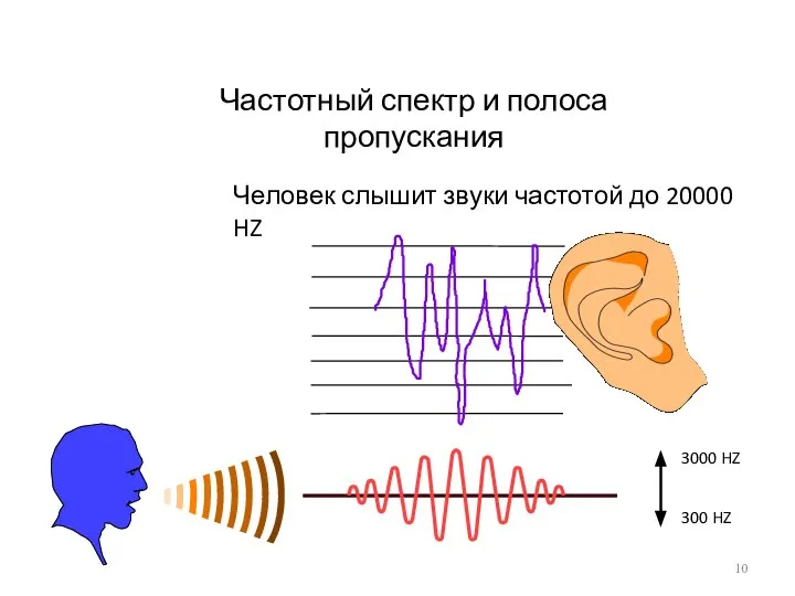 Частотный спектр и полоса пропускания Человек слышит звуки частотой до 20000 HZ 3000 HZ 300 HZ