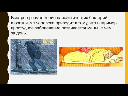 Быстрое размножение паразитических бактерий в организме человека приводит к тому, что например