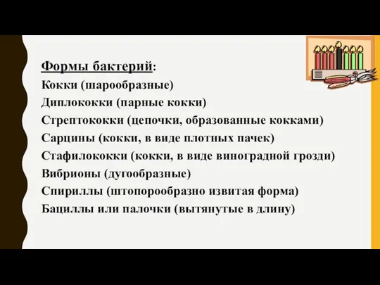 Формы бактерий: Кокки (шарообразные) Диплококки (парные кокки) Стрептококки (цепочки, образованные кокками) Сарцины