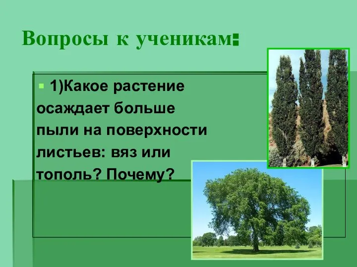 Вопросы к ученикам: 1)Какое растение осаждает больше пыли на поверхности листьев: вяз или тополь? Почему?