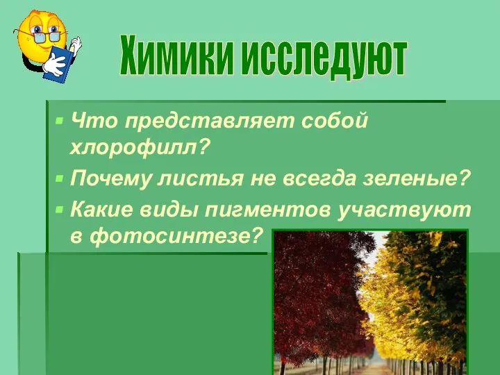 Что представляет собой хлорофилл? Почему листья не всегда зеленые? Какие виды пигментов