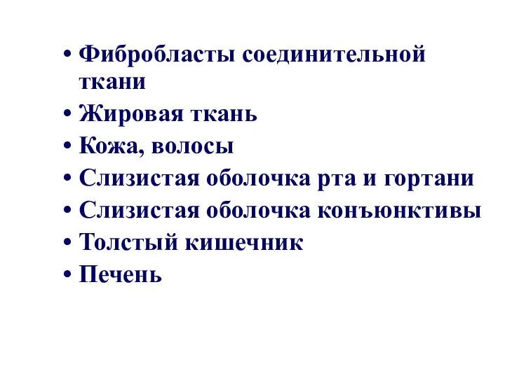 Фибробласты соединительной ткани Жировая ткань Кожа, волосы Слизистая оболочка рта и гортани