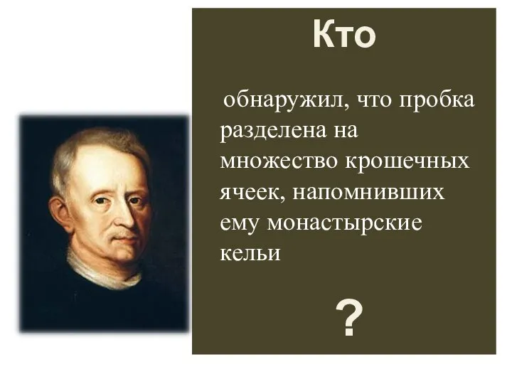 Кто ? обнаружил, что пробка разделена на множество крошечных ячеек, напомнивших ему монастырские кельи