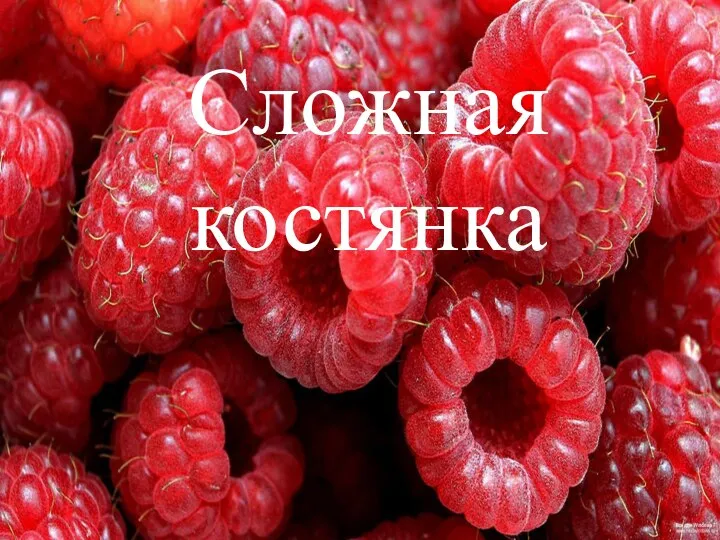 Сложная костянка