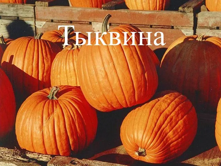 Тыквина