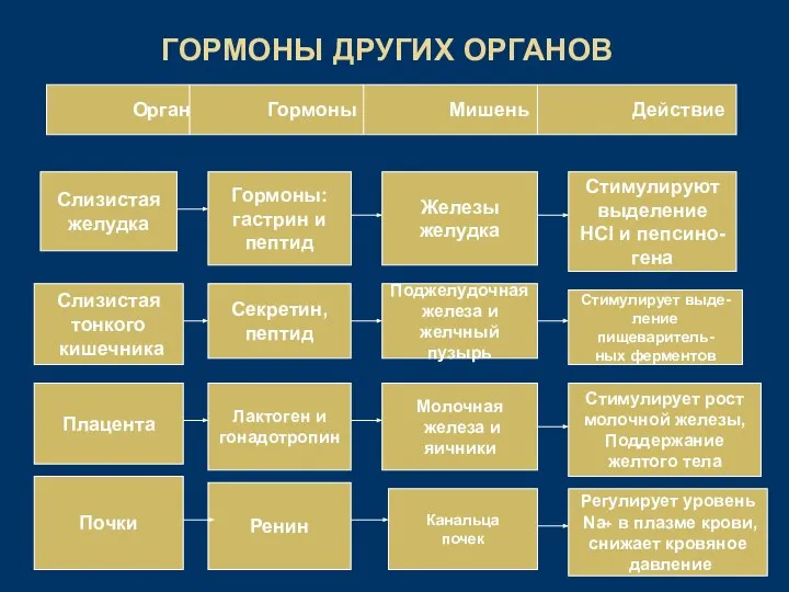 ГОРМОНЫ ДРУГИХ ОРГАНОВ Слизистая тонкого кишечника Слизистая желудка Гормоны: гастрин и пептид