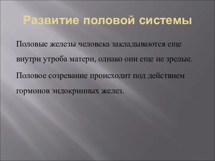 Развитие половой системы Половые железы человека закладываются еще внутри утроба матери, однако