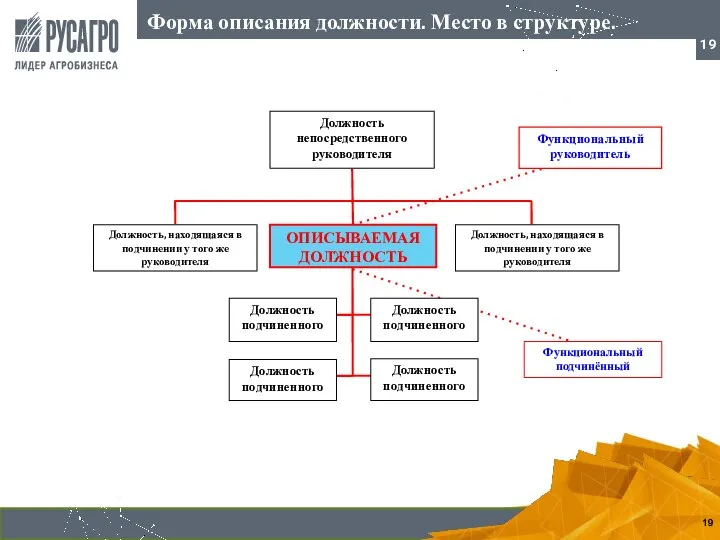 Функциональный руководитель Должность, находящаяся в подчинении у того же руководителя ОПИСЫВАЕМАЯ ДОЛЖНОСТЬ