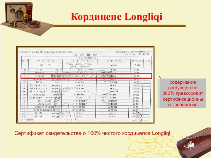 Кордицепс Longliqi Сертификат свидетельства о 100% чистого кордицепса Longliqi содержание cordycepin на 300% превосходит сертификационные требования