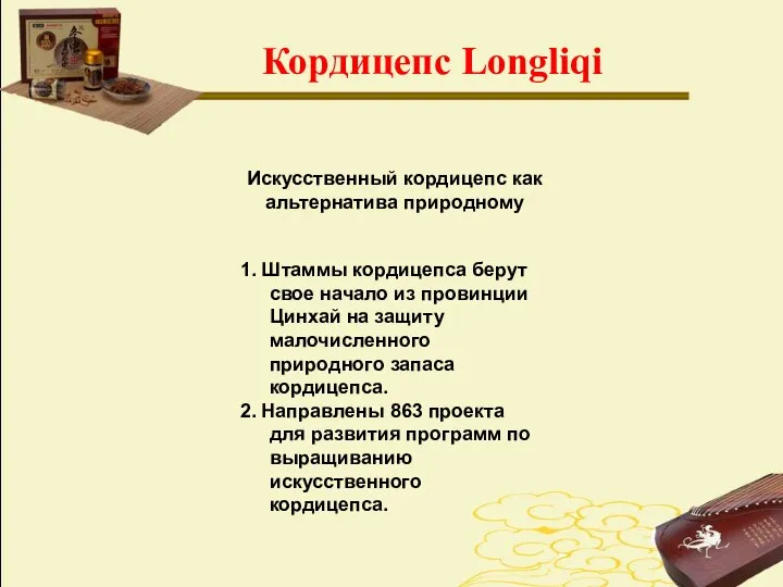 Искусственный кордицепс как альтернатива природному 1. Штаммы кордицепса берут свое начало из