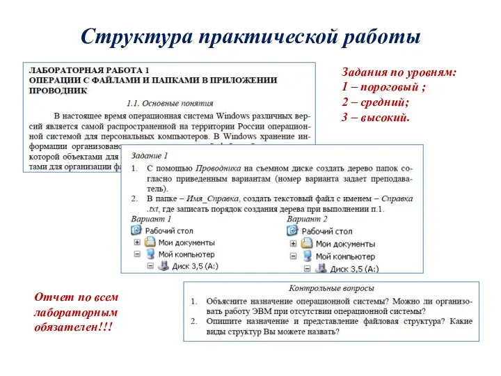 Структура практической работы Задания по уровням: 1 – пороговый ; 2 –