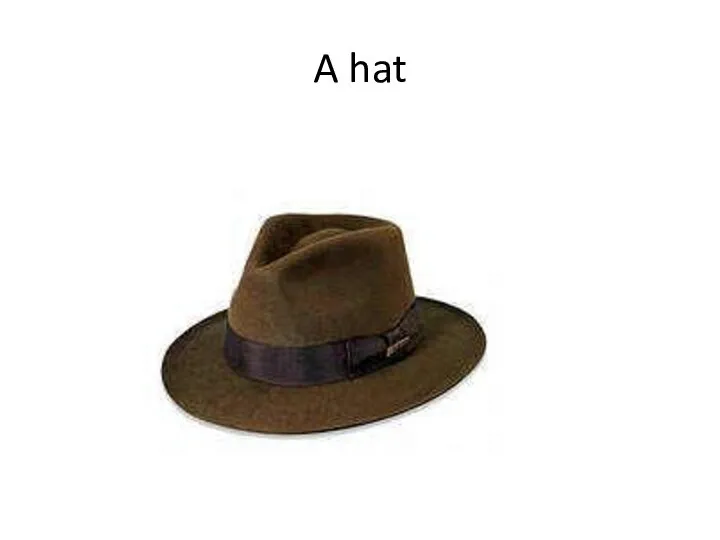 A hat