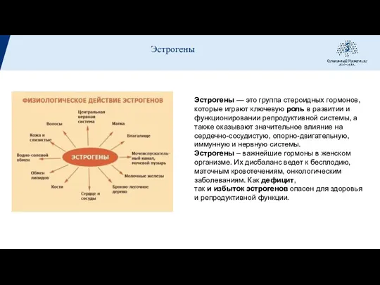 Эстрогены — это группа стероидных гормонов, которые играют ключевую роль в развитии